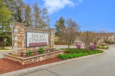 21 Hampshire Rd #313 1