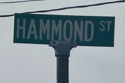 Lot 1 Hammond Street 1