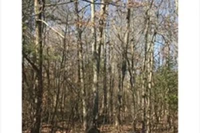 Lot 17 Russellville Rd