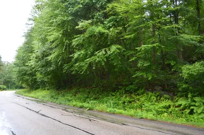 Lot 7 Monson Turnpike Rd 1