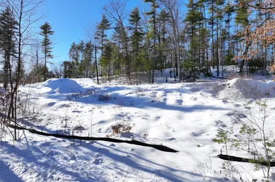 Lot 3 Maple Ave 1