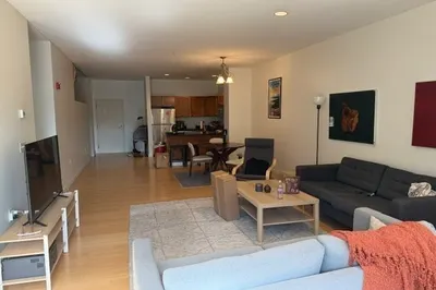 99 Chestnut Hill Ave #317 1