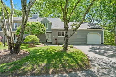4 Lakespur #4 1