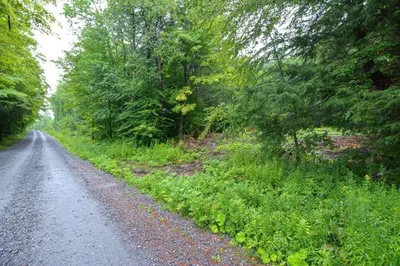 171 Arthur Pease Rd 1
