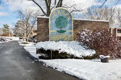 18 Shrewsbury Green Dr #I 1