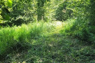 Lot 39.22 Main St 1