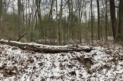 Lot C Maxwell Road
