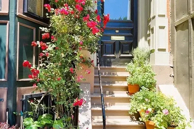 133 Appleton St #3