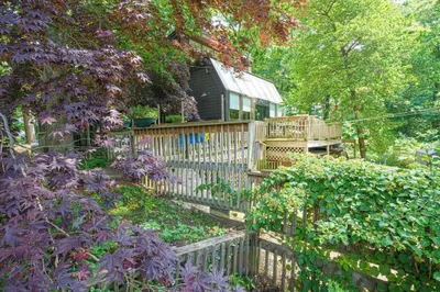 51 Pine Island