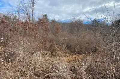 Lot A Bethany Rd