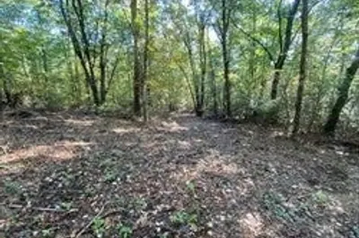 75 Salisbury St., Lot 12 1