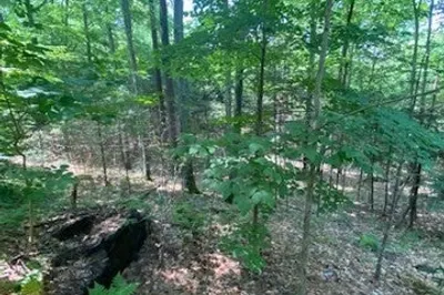 Lot Five Old Belchertown Rd