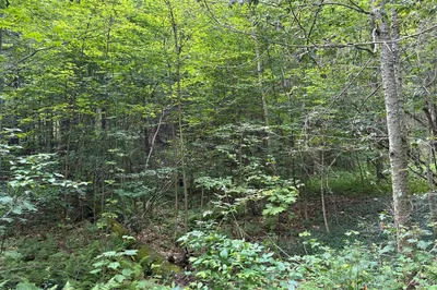 139 Taylor Brook Rd