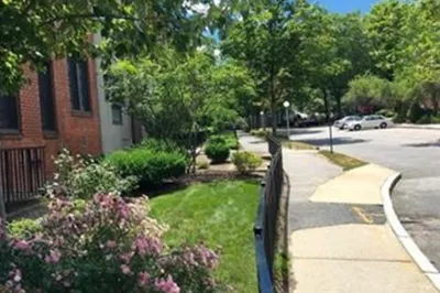 18 Juniper St #49 1
