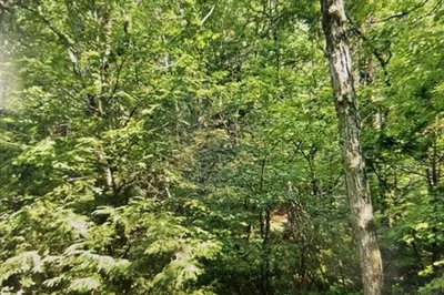 349 Lot 1 SW Main St 1