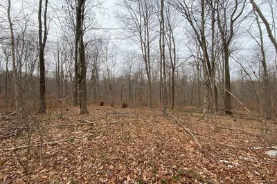 Lot 169-22 Beebe Rd 1