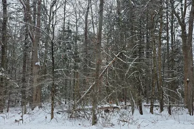 1154 Colebrook River Rd 1