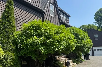 5 Evans Rd #1 1