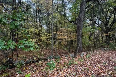 Lot 2 North Brookfield Rd