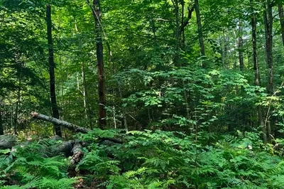 0 Laurel Lake Road 1
