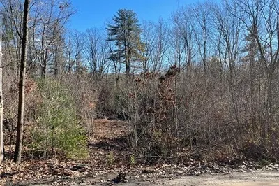 149 Bragg Hill Rd 1
