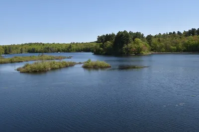 109 Rocky Pond Rd 1