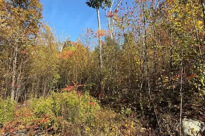 Lot 1 Amherst Rd 1