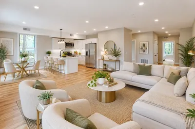 81 Chestnut Hill Ave #205 1