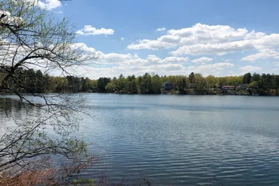 65 Kingland Road #1 1
