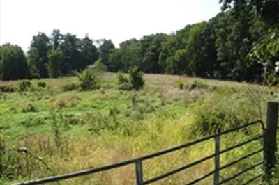 Parcel 1 Coffey Hill Rd 1