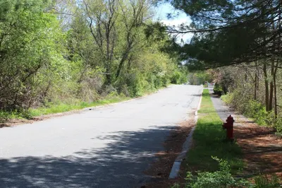 3 Paddock Lane