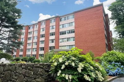 22 Chestnut Place #204
