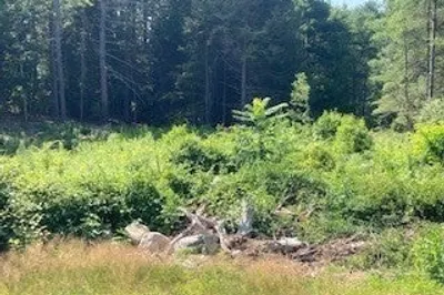 Lot 83 Segur Lane 1