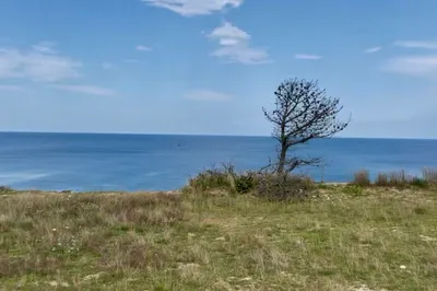 245 Nauset Light Beach Rd 1