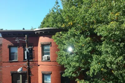 119 Park Street #7 1