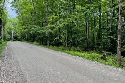 Lot 121 Davis Mine Rd