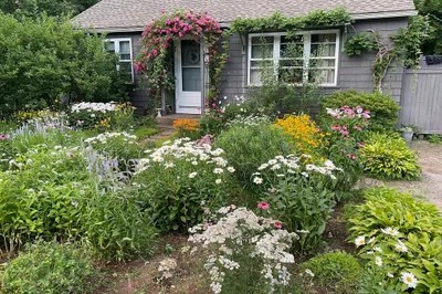 13 Elliott St
