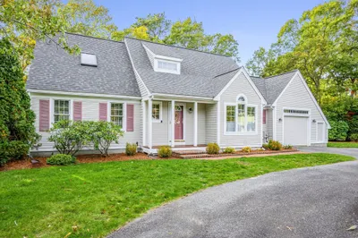 49 Statice Ln 1