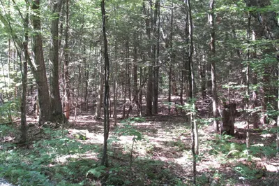 006 Round Hill 1