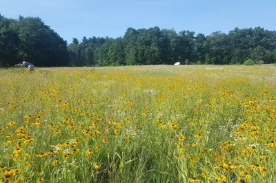 0 Depot Rd 1
