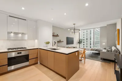 380 Harrison Ave #PH2M 1
