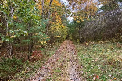 0 Brush Valley Rd