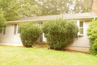 54 Norborough Dr 1