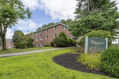 272 Pearl Street #8