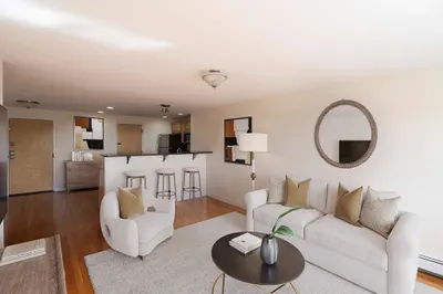 44 Lafayette Ave #308 1