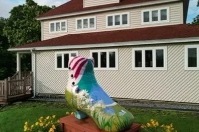 231 Forest St 1