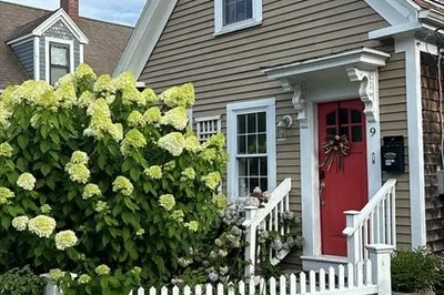 9 Maple St