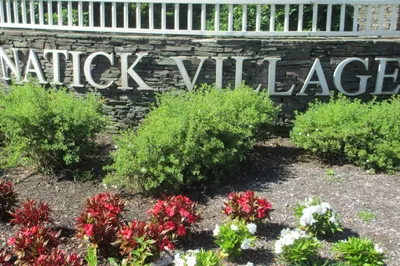 29 Village Rock #6 1