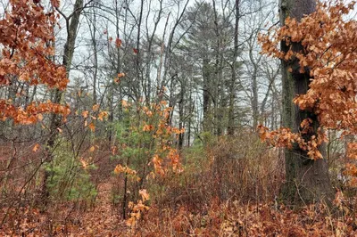159 Lakeside Road