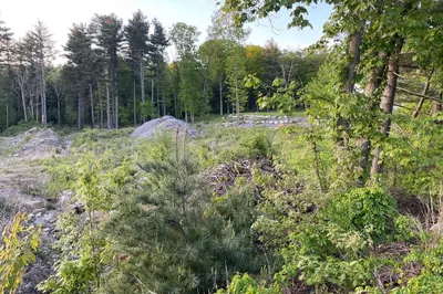Lot 4 Foxboro Road 1